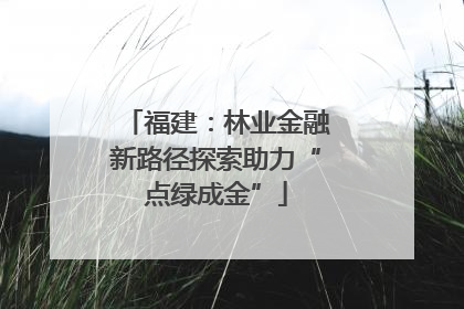 福建：林业金融新路径探索助力“点绿成金”