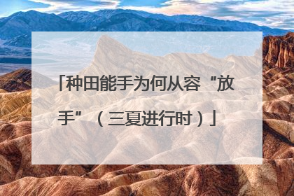 种田能手为何从容“放手”（三夏进行时）