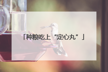 种粮吃上“定心丸”
