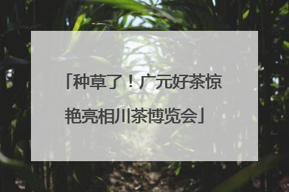 种草了！广元好茶惊艳亮相川茶博览会