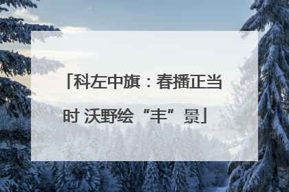 科左中旗：春播正当时 沃野绘“丰”景