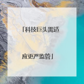 科技巨头需适应更严监管