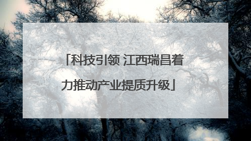 科技引领 江西瑞昌着力推动产业提质升级