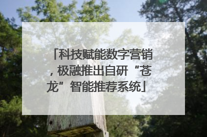 科技赋能数字营销，极融推出自研“苍龙”智能推荐系统