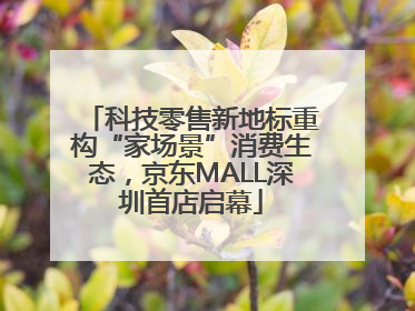科技零售新地标重构“家场景”消费生态，京东MALL深圳首店启幕