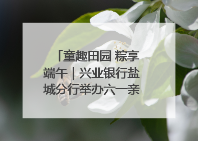 童趣田园 粽享端午｜兴业银行盐城分行举办六一亲子嘉年华活动