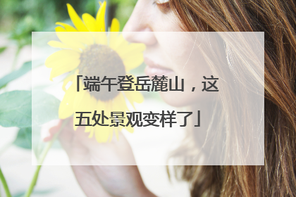 端午登岳麓山，这五处景观变样了