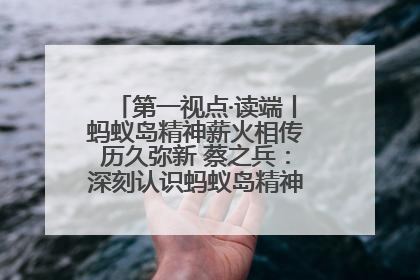 第一视点·读端丨蚂蚁岛精神薪火相传历久弥新 蔡之兵：深刻认识蚂蚁岛精神的“精气神”