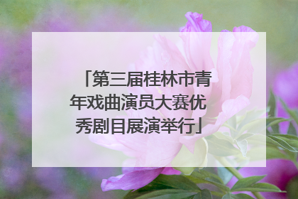 第三届桂林市青年戏曲演员大赛优秀剧目展演举行