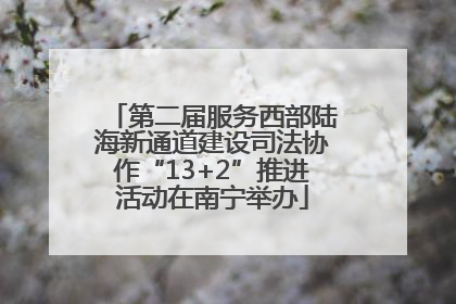 第二届服务西部陆海新通道建设司法协作“13+2”推进活动在南宁举办
