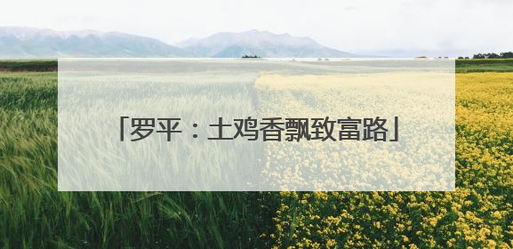 罗平：土鸡香飘致富路
