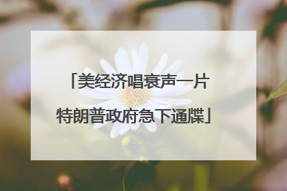 美经济唱衰声一片 特朗普政府急下通牒