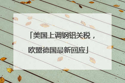 美国上调钢铝关税，欧盟德国最新回应