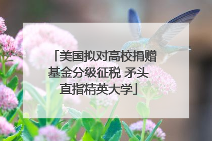 美国拟对高校捐赠基金分级征税 矛头直指精英大学