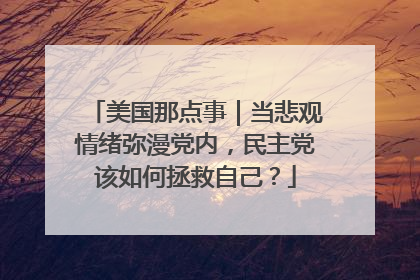 美国那点事｜当悲观情绪弥漫党内，民主党该如何拯救自己？