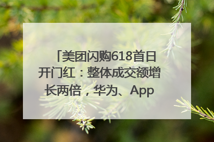 美团闪购618首日开门红：整体成交额增长两倍，华为、Apple、沃尔玛等近800个品牌翻倍增长