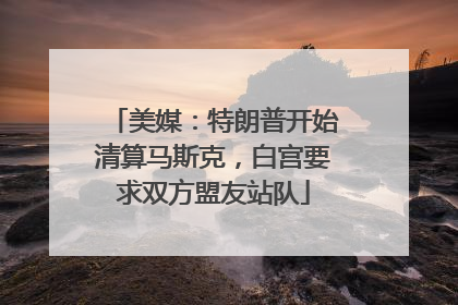 美媒：特朗普开始清算马斯克，白宫要求双方盟友站队