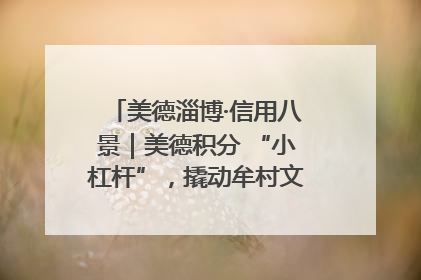 美德淄博·信用八景｜美德积分 “小杠杆”，撬动牟村文明 “大能量”