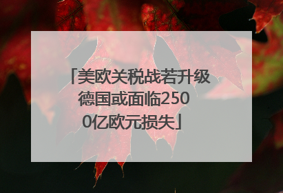 美欧关税战若升级 德国或面临2500亿欧元损失