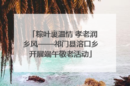 粽叶裹温情 孝老润乡风——祁门县溶口乡开展端午敬老活动