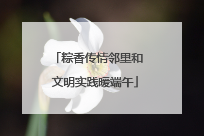 粽香传情邻里和 文明实践暖端午