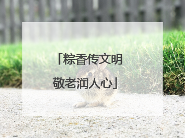 粽香传文明 敬老润人心