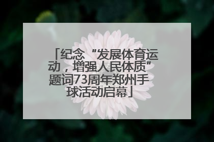 纪念“发展体育运动，增强人民体质”题词73周年郑州手球活动启幕