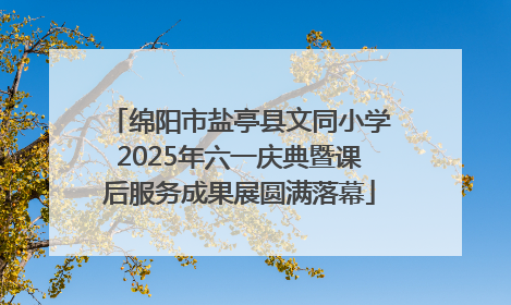 绵阳市盐亭县文同小学2025年六一庆典暨课后服务成果展圆满落幕
