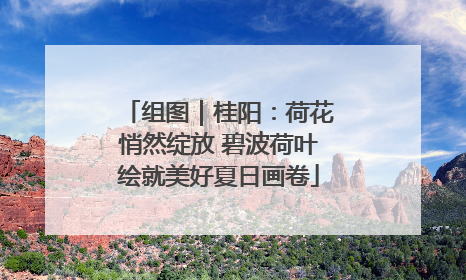 组图｜桂阳：荷花悄然绽放 碧波荷叶绘就美好夏日画卷