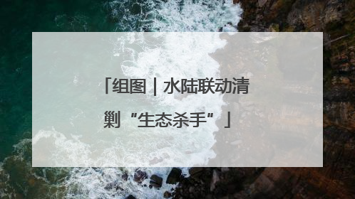 组图｜水陆联动清剿“生态杀手”