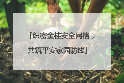 织密金桂安全网格，共筑平安家园防线