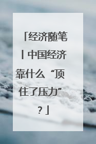 经济随笔丨中国经济靠什么“顶住了压力”？