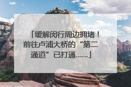 缓解闵行周边拥堵！前往卢浦大桥的“第二通道”已打通……