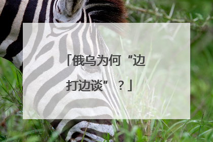 俄乌为何“边打边谈”？