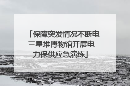 保障突发情况不断电 三星堆博物馆开展电力保供应急演练