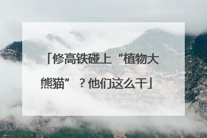 修高铁碰上“植物大熊猫”？他们这么干