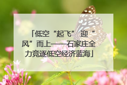 低空“起飞” 迎“风”而上——石家庄全力竞逐低空经济蓝海