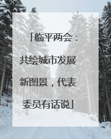临平两会：共绘城市发展新图景，代表委员有话说