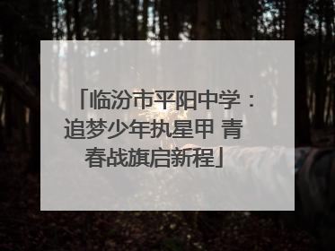 临汾市平阳中学：追梦少年执星甲 青春战旗启新程