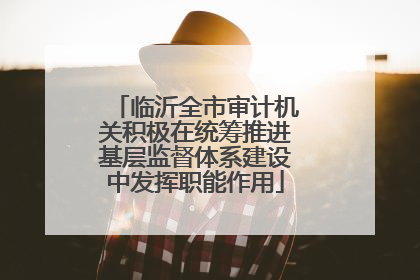 临沂全市审计机关积极在统筹推进基层监督体系建设中发挥职能作用