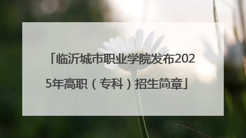 临沂城市职业学院发布2025年高职（专科）招生简章