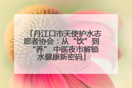 丹江口市天使护水志愿者协会：从“饮”到“养” 中医夜市解锁水健康新密码