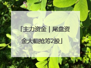 主力资金｜尾盘资金大幅抢筹2股
