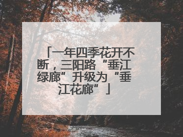 一年四季花开不断，三阳路“垂江绿廊”升级为“垂江花廊”