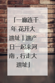 一廊连千年 花开大遗址丨遗产日一起来河南，行走大遗址