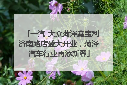 一汽-大众菏泽鑫宝利济南路店盛大开业，菏泽汽车行业再添新翼