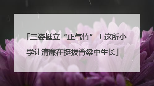 三姿挺立“正气竹”！这所小学让清廉在挺拔脊梁中生长
