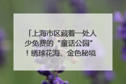 上海市区藏着一处人少免费的“童话公园”！绣球花海、金色秘境……地铁直达→