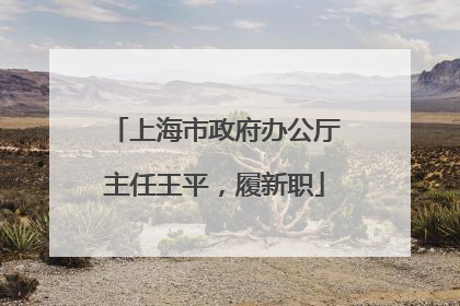 上海市政府办公厅主任王平，履新职