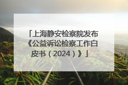 上海静安检察院发布《公益诉讼检察工作白皮书（2024）》